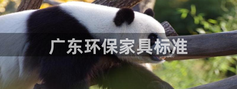 杏耀代理官网