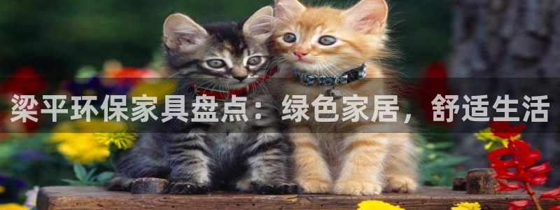 杏耀平台服务中心是干嘛的