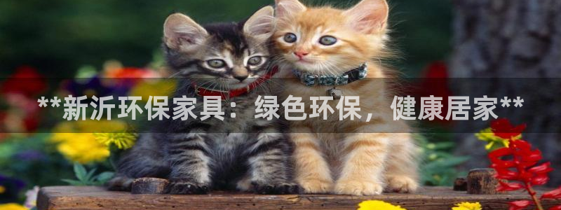 杏耀平台可以提款吗