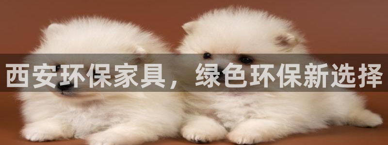 杏耀主管qq