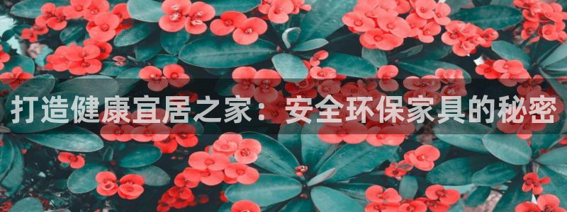 杏耀软件