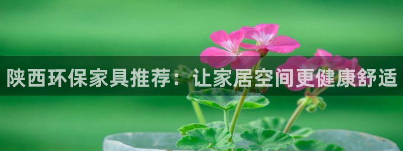 杏耀注册开户