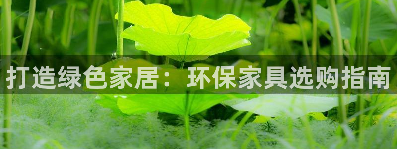 杏耀平台登录首页