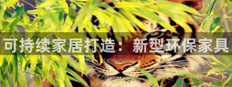 杏耀平台线路测试