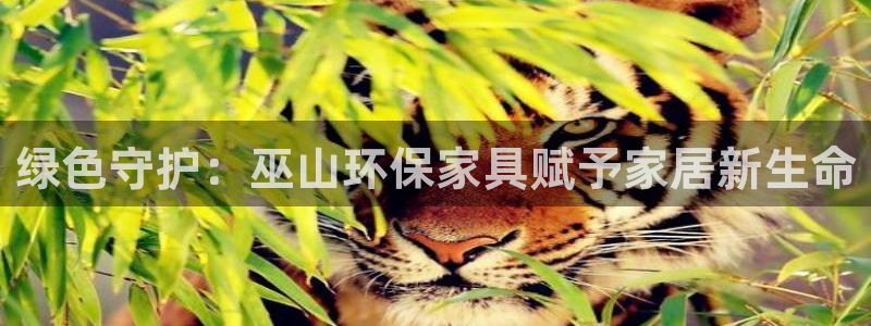 杏耀平台怎么样