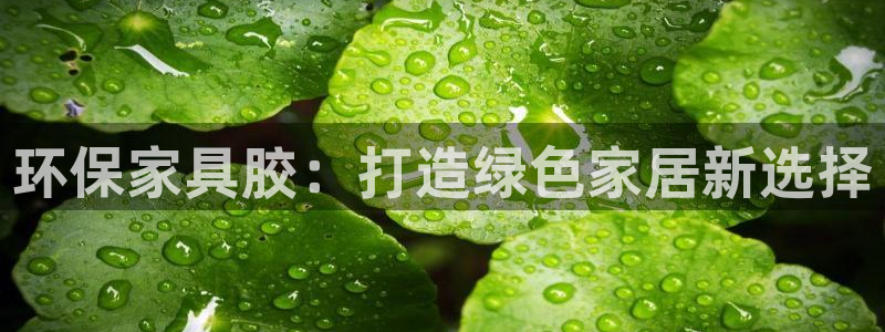 杏耀登陆线路