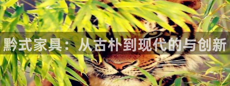 杏耀平台登录地址