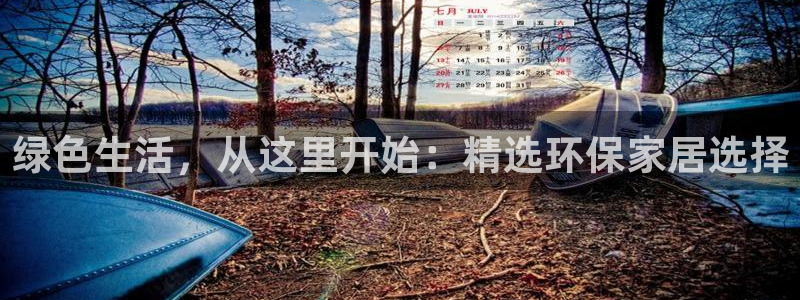 杏耀代理注册中心：绿色生活，从这里开始：精选环保家居选择