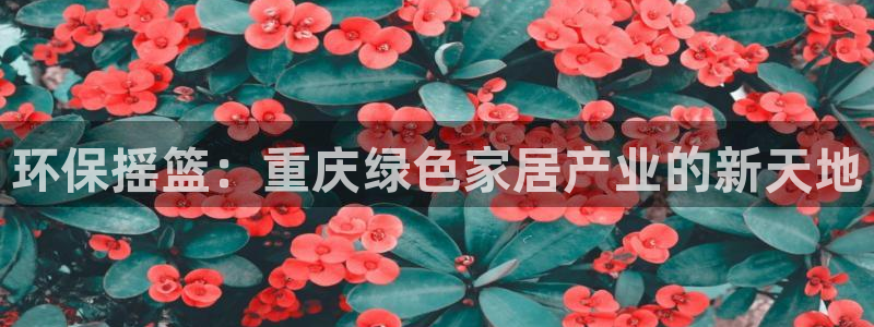 杏耀注册代理：环保摇篮：重庆绿色家居产业的新天地