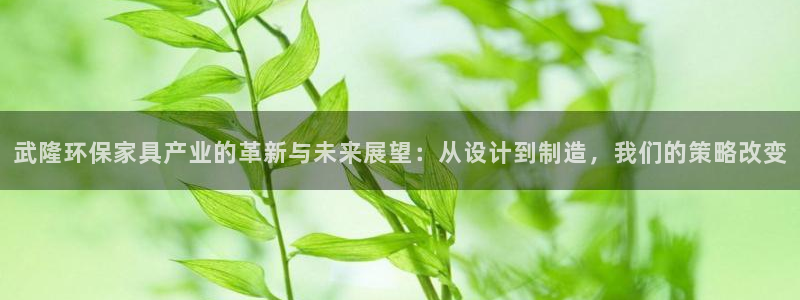 杏耀平台黑款：武隆环保家具产业的革新与未来展望：从设计到制造