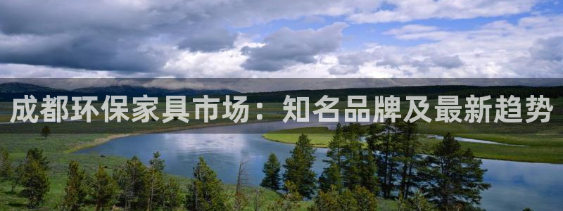 杏耀平台靠谱吗：成都环保家具市场：知名品牌及最新趋势