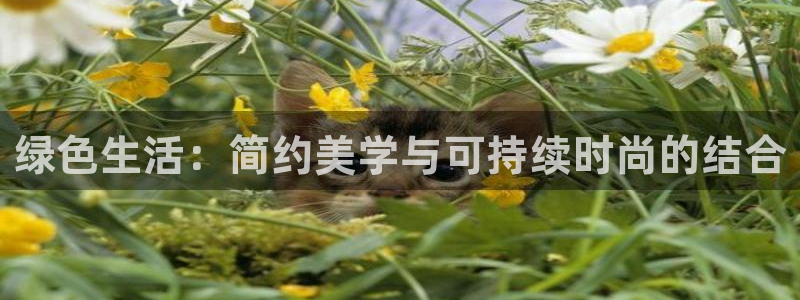 杏耀注册网址