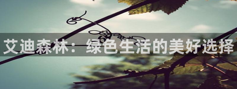 杏耀平台专用通道