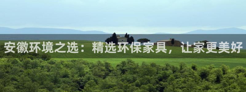 杏耀平台的专用通道