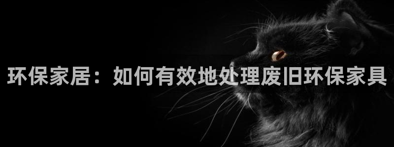 杏耀总代