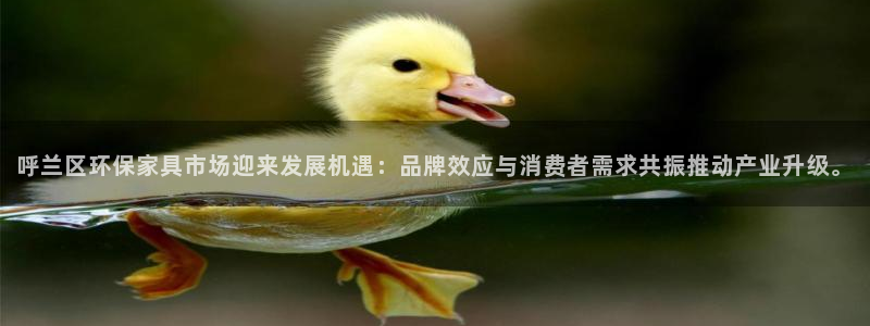 杏耀平台网站是什么