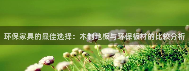 杏耀客户端登陆：环保家具的最佳选择：木制地板与环保板材的比较