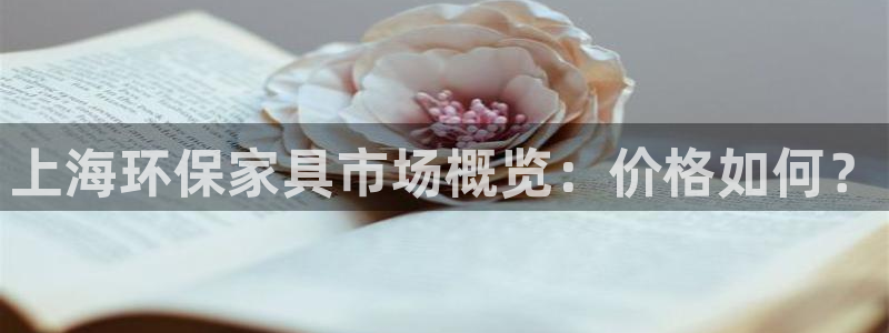 杏耀代理日工资多少