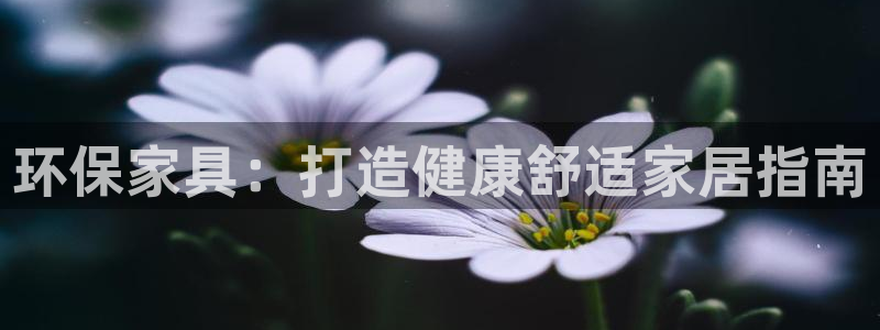 杏耀平台注册代理：环保家具：打造健康舒适家居指南