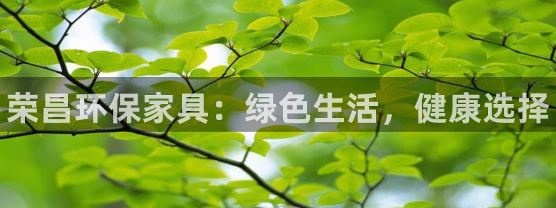 杏耀平台代理登录网址是多少：荣昌环保家具：绿色生活，健康选择