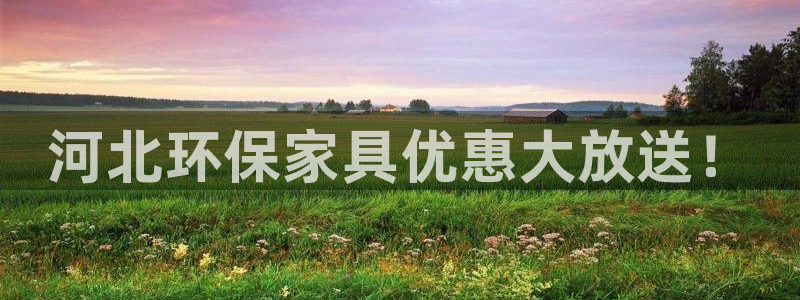 杏耀注册线路：河北环保家具优惠大放送！