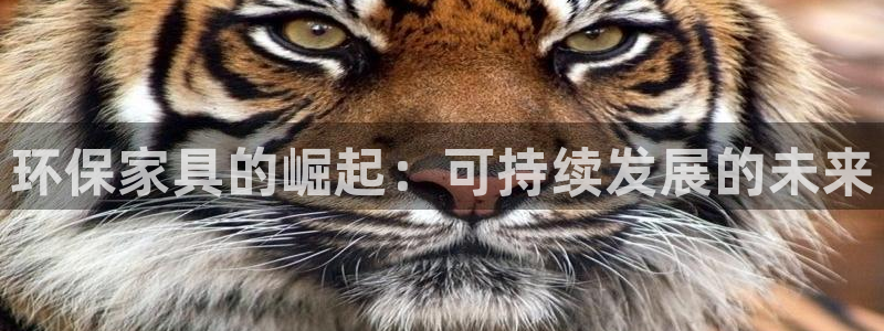 杏耀平台娱乐登陆