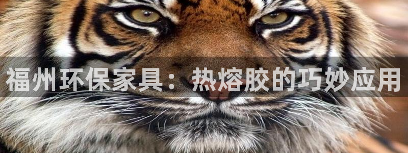 杏耀登陆线路