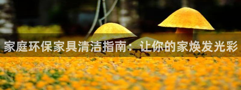 杏耀平台的专用通道