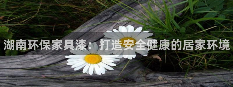 杏耀平台线路测速