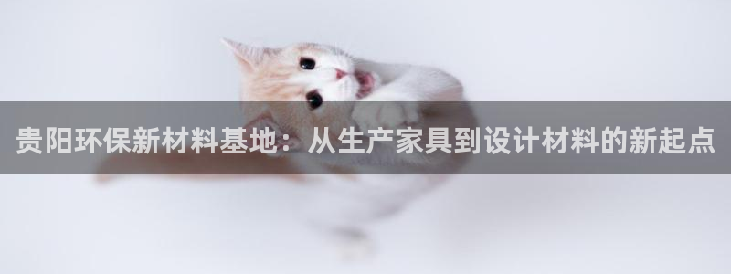 杏耀平台代理登录网址是多少：贵阳环保新材料基地：从生产家具到