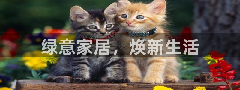 杏耀平台怎么样?：绿意家居，焕新生活