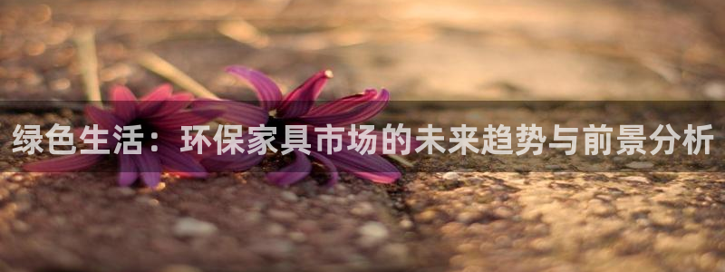 杏耀app怎样申请退款：绿色生活：环保家具市场的未来趋势与前