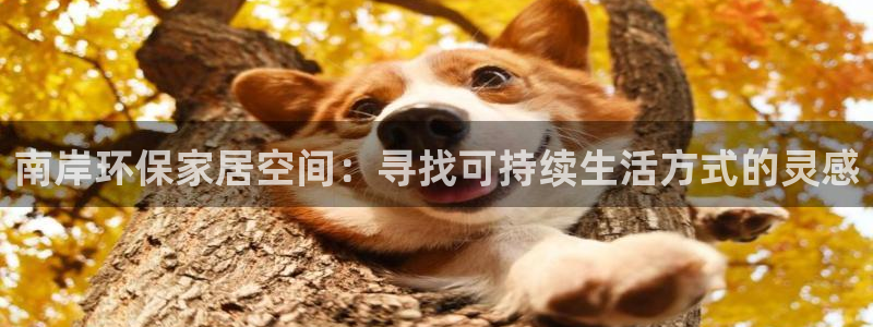 杏耀登陆测速：南岸环保家居空间：寻找可持续生活方式的灵感